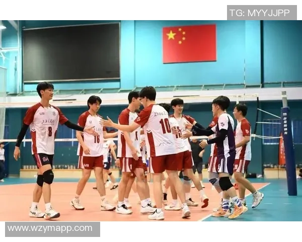 上海排球队在冠军赛中的个人能力展现与战术配合分析